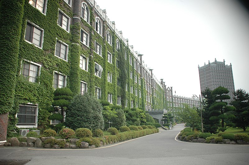 File:광주대학교 극기관의 풍경.jpg