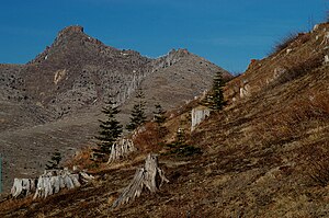 Coldwater Peak in 2005