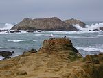 Bird Rock 17 Mile Drive Bird Rock.jpg