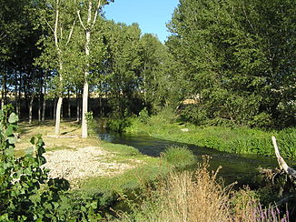 Río Eresma at Los Redondillos
