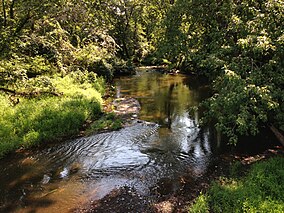 2013-08-26 11 05 15 View timur dari Mercer County Route 533 up Assunpink Creek di sepanjang perbatasan antara Mercer County Park dan Van Nest Suaka Margasatwa di perbatasan antara Lawrence Township dan Hamilton Township.jpg