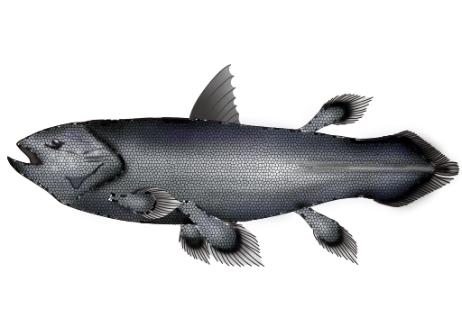 File:201704 Coelacanth.svg