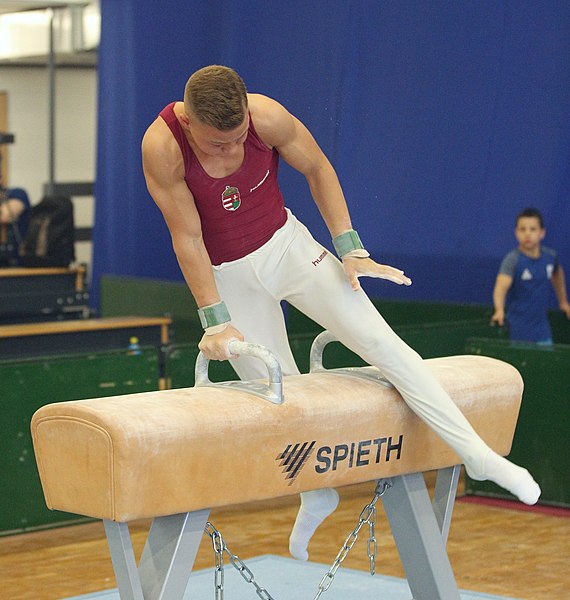 File:2019-05-25 Budapest Cup age group I all-around competition pommel horse (Martin Rulsch) 043.jpg