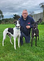 Thumbnail for 2023 UK &amp; Ireland Greyhound Racing Year