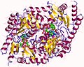 Vignette pour Acide aminolévulinique synthase