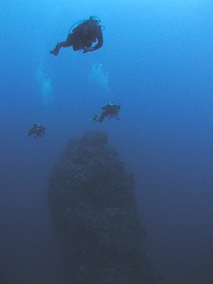 Underwater pinnacle in the waters outside Saba