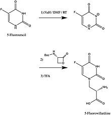 Synthesis of 5-fluorowillardiine 5-fluorowillardiine.jpg