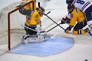 Michael Garteig Canadian ice hockey player