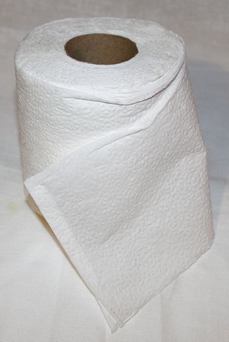 Tập_tin:A_Roll_of_Toilet_Paper.JPG