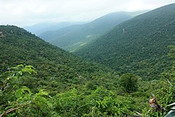 Valley in the MM Hills