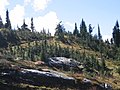 Miniatuur voor Nationaal park Mount Revelstoke