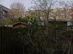 Amsterdam photo 2017 of urban nature, free download; backyard between the residential blocks with trees in early Spring; location Indische buurt. Fons Heijnsbroek, street photography of The Netherlands in high resolution; free image