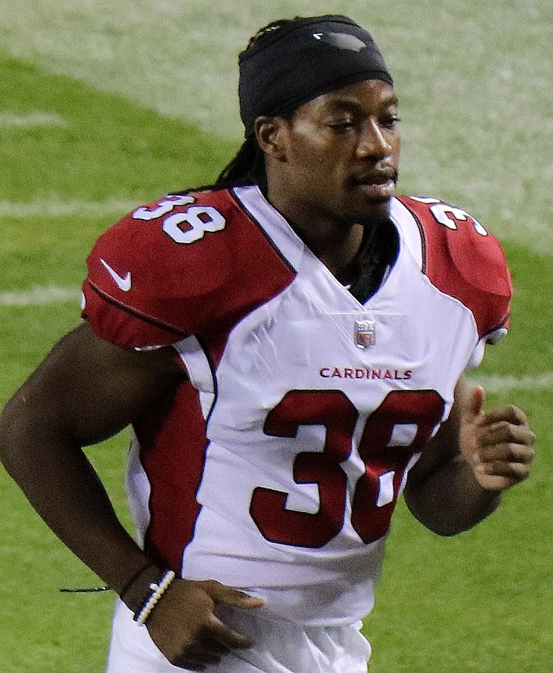 Arizona Cardinals running back (38) Andre Ellington after scoring a  touchdown during a game against the Detroit Lions played at University of  Phoenix Stadium in Glendale on Sunday, September 15, 2013. (AP