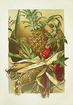 Anton Seder Pineapple Corn Peppers.jpg