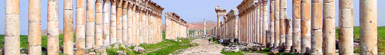 Apamea banner.jpg