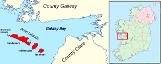 <span class="mw-page-title-main">Aran Islands</span> Group of three islands off the west coast of Ireland