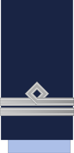 File:Argentina-AirForce-OF-1b.svg