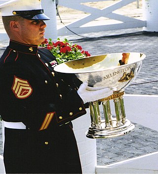 <span class="mw-page-title-main">Arlington Million Trophy</span>