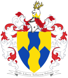 Arms of Michael Flatley.png