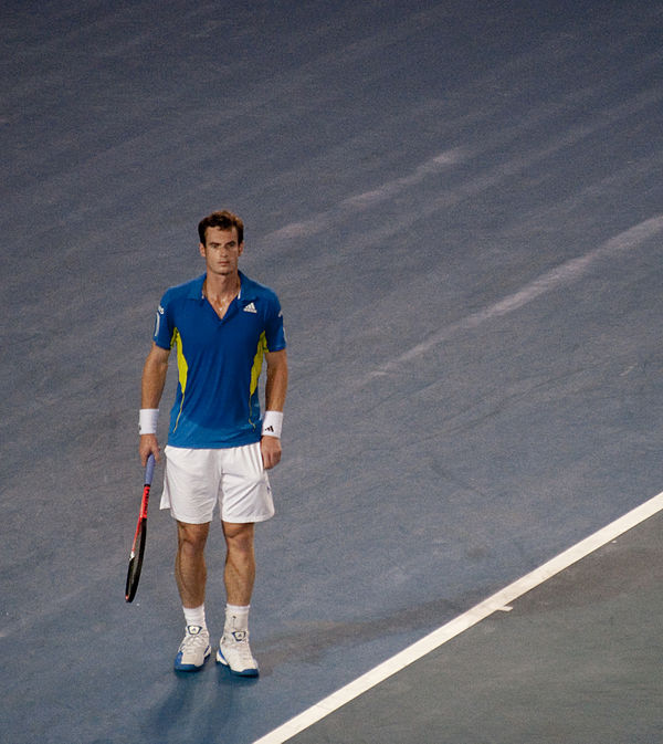 Andy Murray successfully defended the men's singles title