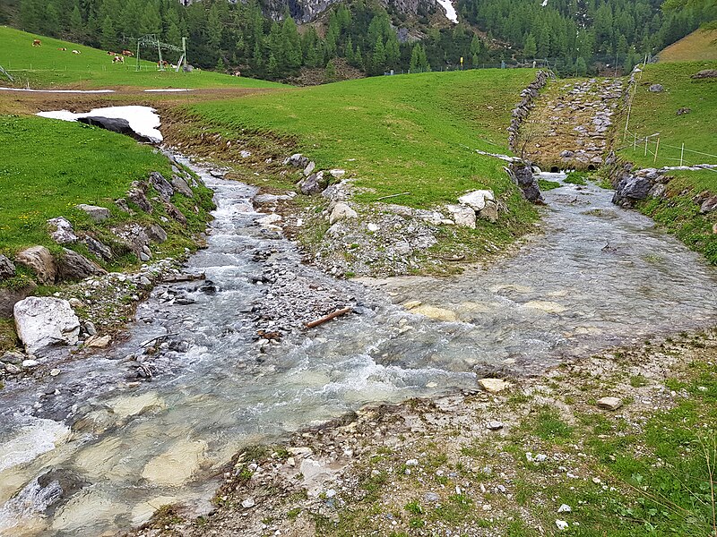 File:Axamer Bach in der Axamer Lizum (20190609 130512).jpg