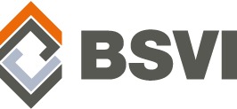 Datei:BSVI-Logo.tif