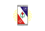 Bandeira do município de Coronel Fabriciano