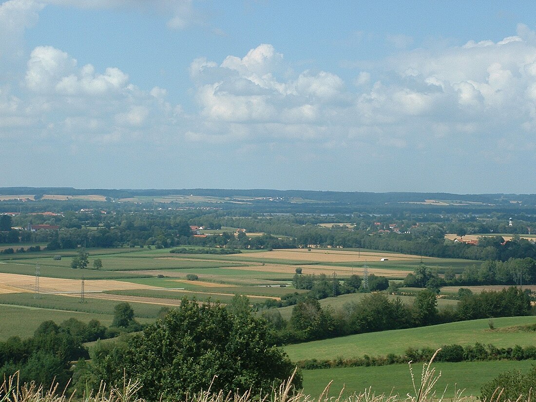 Parklandschaft