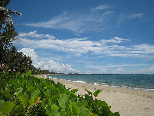 Beach at The Pearl, Pacific Harbour, Fiji - panoramio