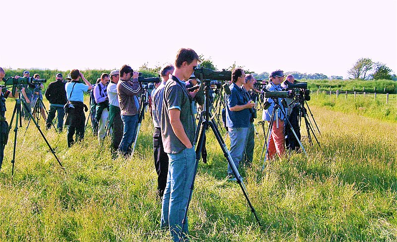 File:Birders at Caerlaverock.jpg