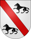 Blason