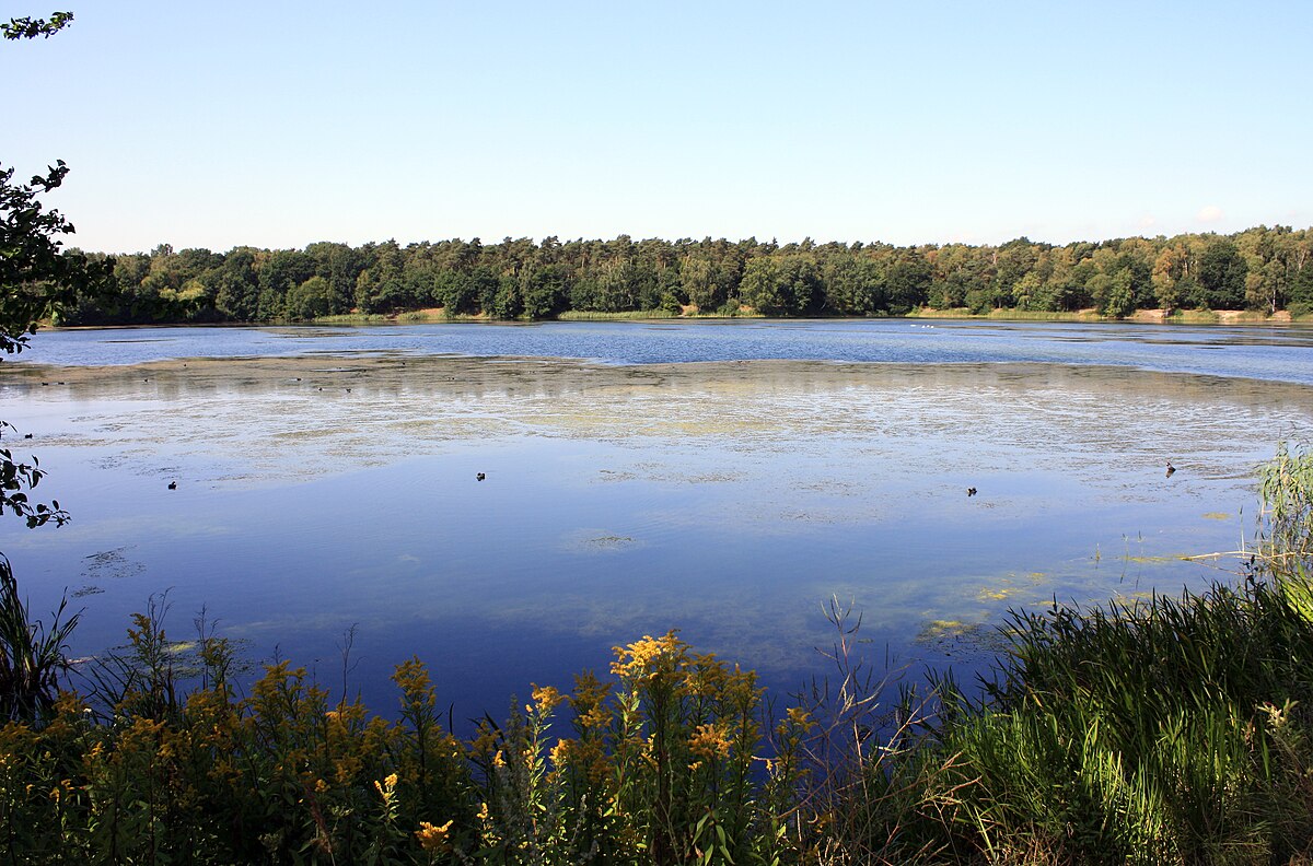 Datei:Blauer See bei Ahlten.jpg - Wikipedia