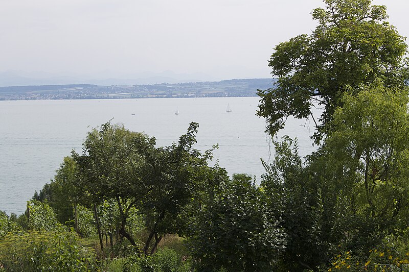 File:Bodensee, Lac de Constance - panoramio (292).jpg