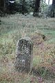 image=https://commons.wikimedia.org/wiki/File:Boundary_Stone_along_Rennsteig_(26).jpg