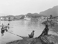 Skarpsillfiske i Jelsa 1912. Foto: Anders Beer Wilse.