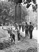 Bau von Splitterschutz-gräben in Berlin (1943)