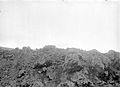 COLLECTIE TROPENMUSEUM Korstmos op circa tien jaar oud lavagesteente bij Batoer TMnr 10024251.jpg