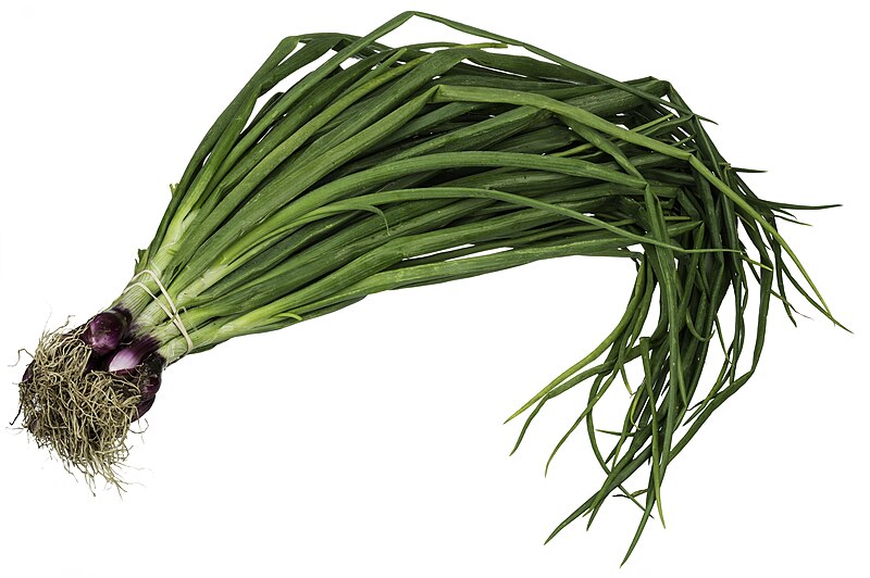 File:CSA-Red-Spring-Onions.jpg