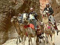 Dromedarissen in Petra