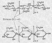 Estructura de la celulosa