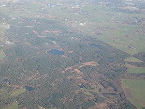 Chaamse bossen - Aerial photograph.jpg