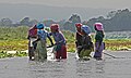 Chitwan-Menschen-06-Frauen im Fluss-2013-gje.jpg