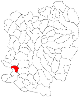 Kaart van Ciuchici