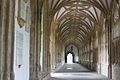 View along the cloister showing the lierne vault