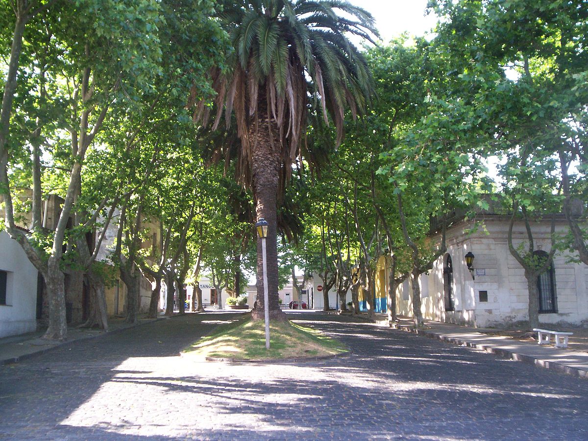 File:Colonia nenuco.jpg - Wikimedia Commons