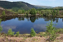 Llyn Bodgynydd Bach, one of the many lakes in the forest Cors Bodgynydd Reservoir - geograph.org.uk - 221635.jpg