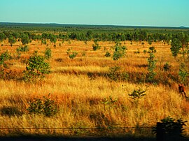 Countryside West of Charters Towers - panoramio (2).jpg