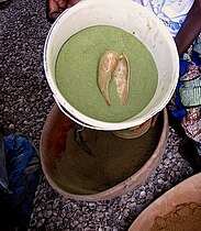 Cymbium marmoratum shell scoop for lalo - baobab green leaf powder