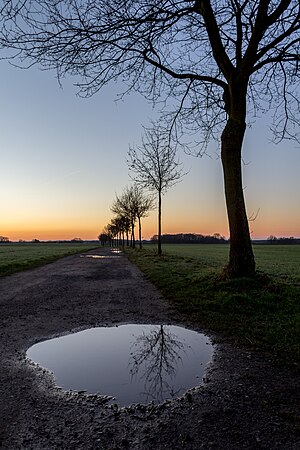 Dirt road in Dülmen (Germany) during sunrise