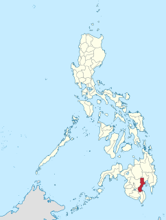 Davao del Surs at-large congressional district